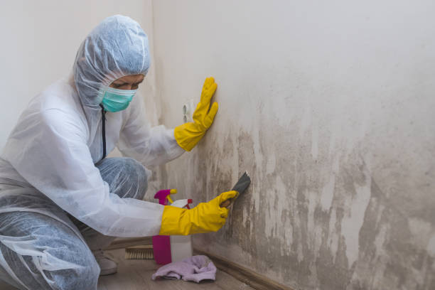 Forensic Mold Investigation in Clinton, PA