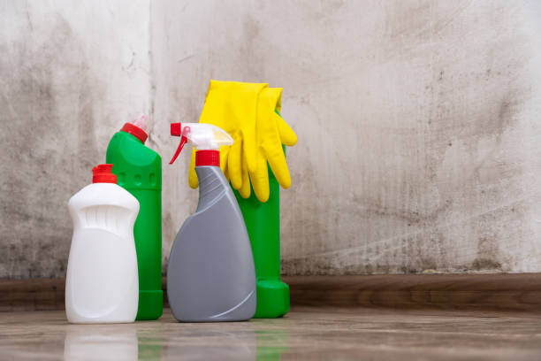 Why You Should Choose Our Mold Remediation Services in Clinton, PA